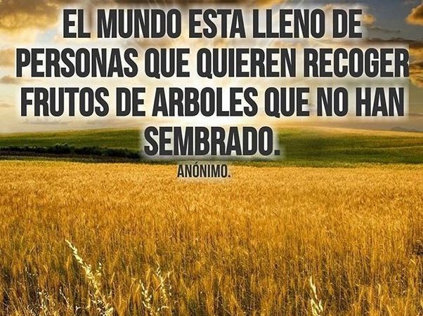 mi opinion sobre encuentrosamoros com